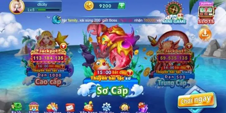 Hướng dẫn kiểm tra thông tin King33